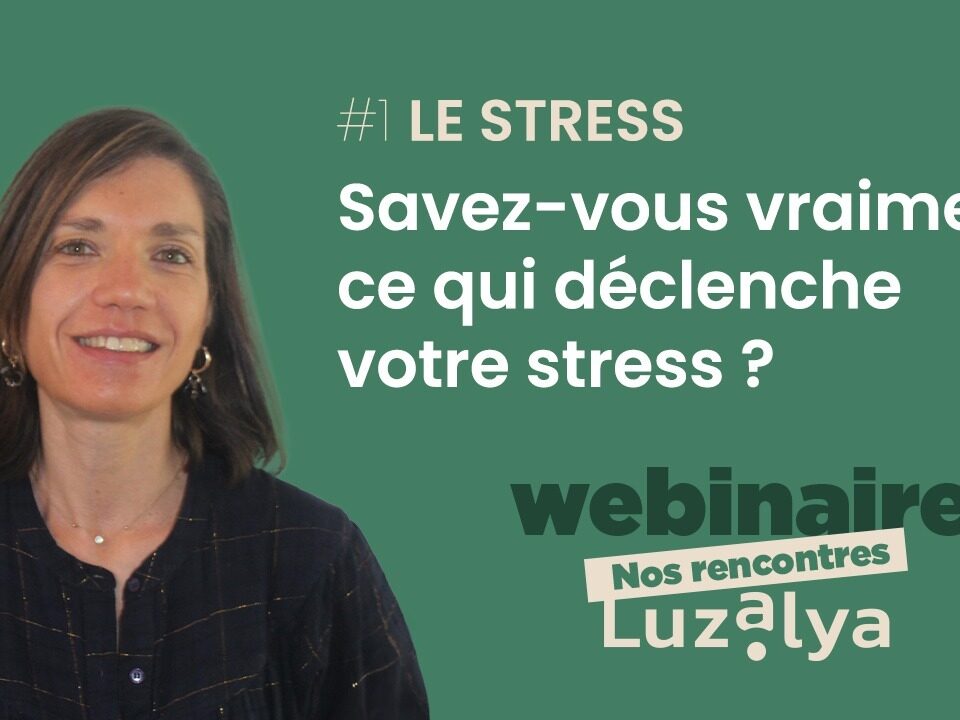 Luzalya Webinaire Le Stress