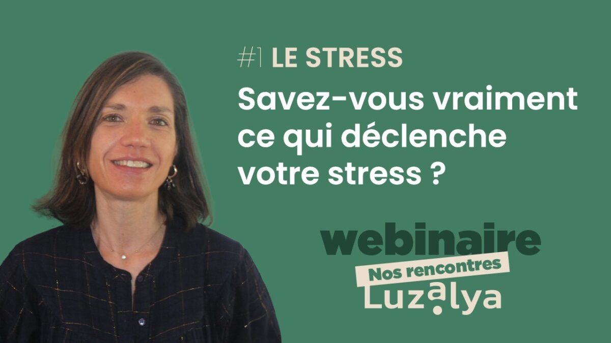 Luzalya Webinaire Le Stress